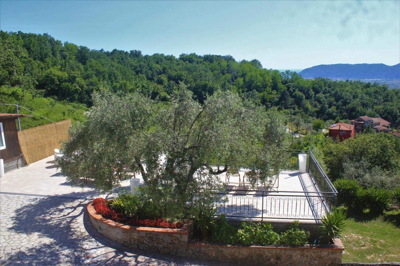 Villa Fattoria Cristina Bilo Rosa à Castelnuovo Magra Extérieur photo